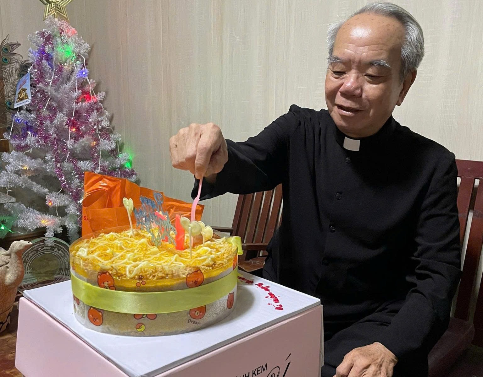 Vị mục tử vẹn tròn  hành trình dấn thân